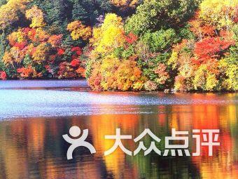 救援小蝙蝠