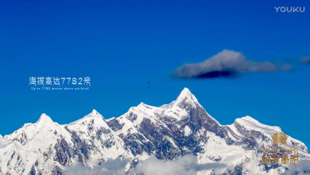为人类解决难题AI都做了些什么