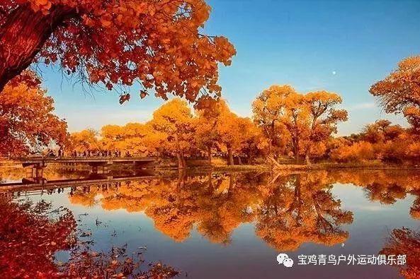 行走的文化队—展望文创发展前景，了解文化历史底蕴