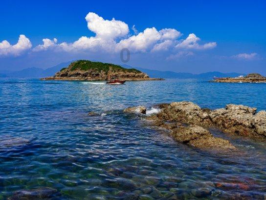失忆的流浪者
