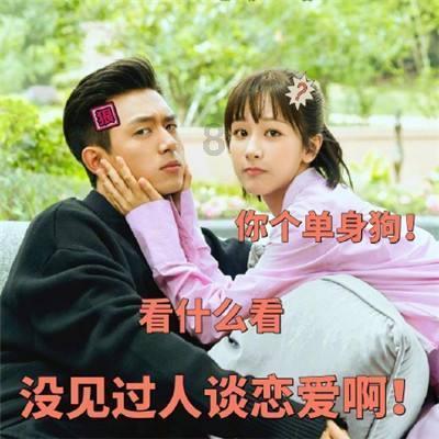 救援受困的鹭
