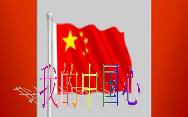 动物狂欢夜