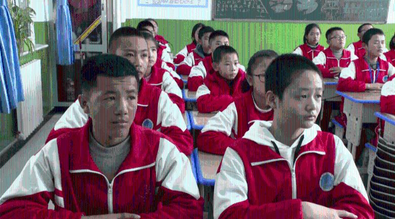 救援卷耳兔