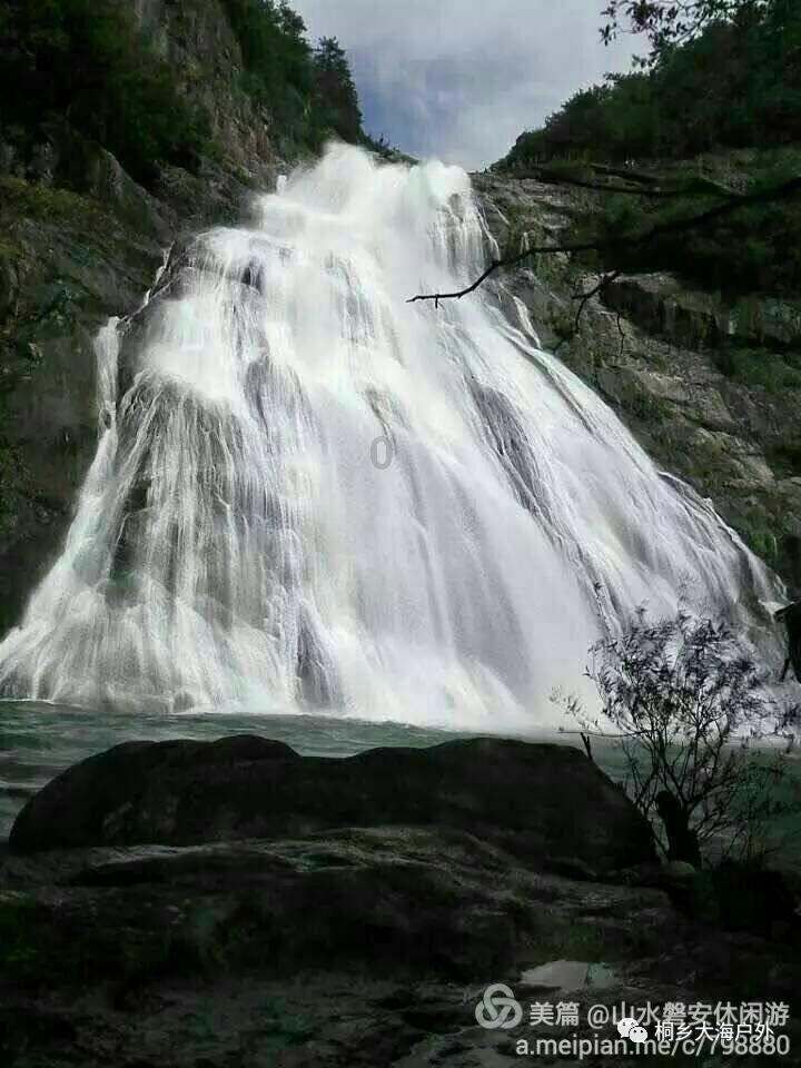 救援卷耳兔